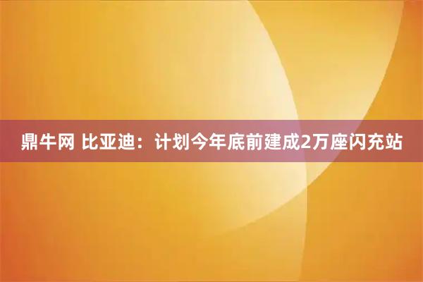 鼎牛网 比亚迪：计划今年底前建成2万座闪充站