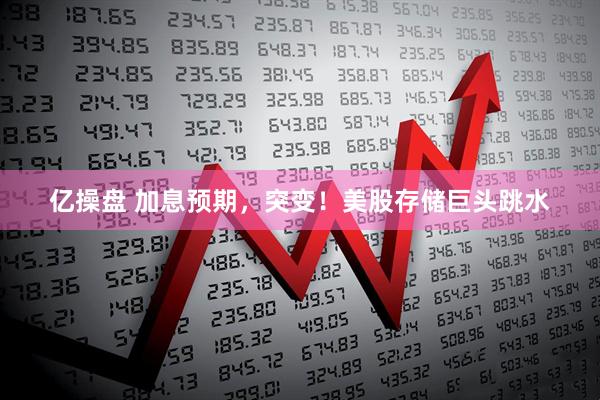 亿操盘 加息预期，突变！美股存储巨头跳水